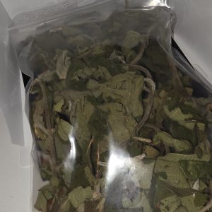 feuille intime wachidoukou