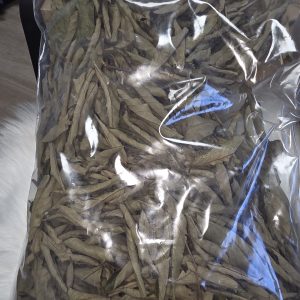 feuille de bita