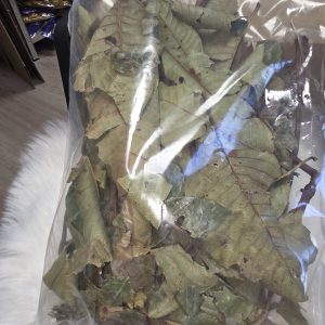 Feuilles intimes diya tétey