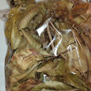 feuille intime liba gobaya