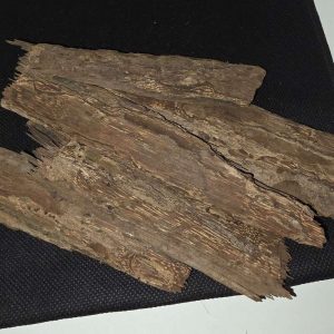 Écorces de cannelle